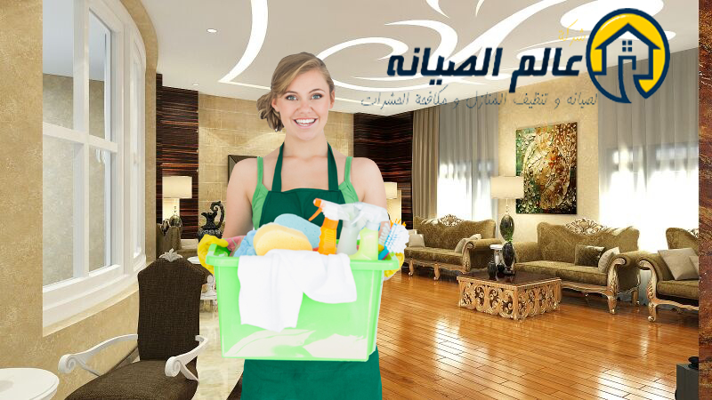 شركة تنظيف فلل بالرياض