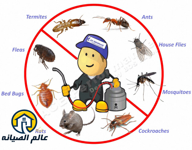 شركة رش مبيدات بالرياض