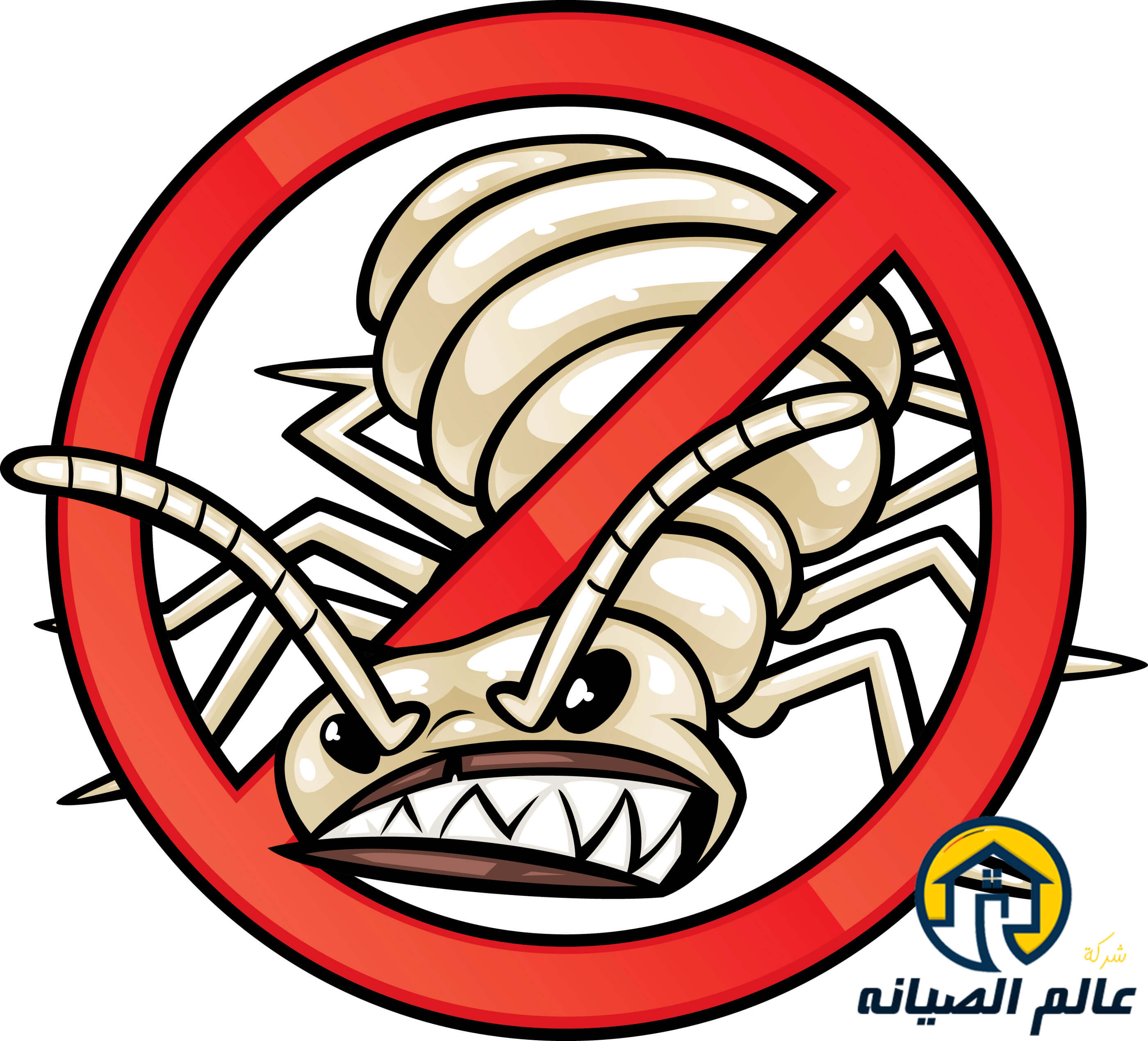 شركة مكافحة النمل الأبيض بالرياض