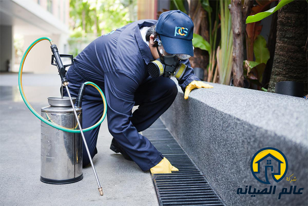 شركة مكافحة حشرات بالدمام