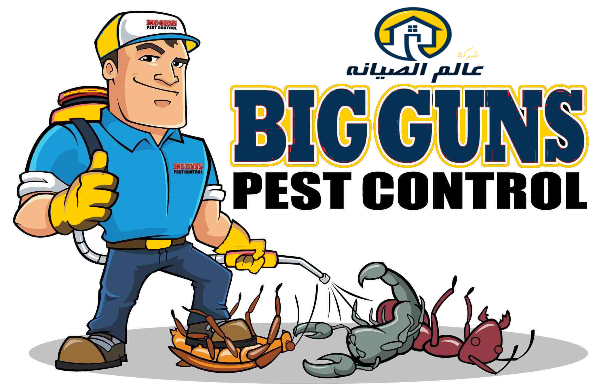 شركة مكافحة حشرات بالرياض