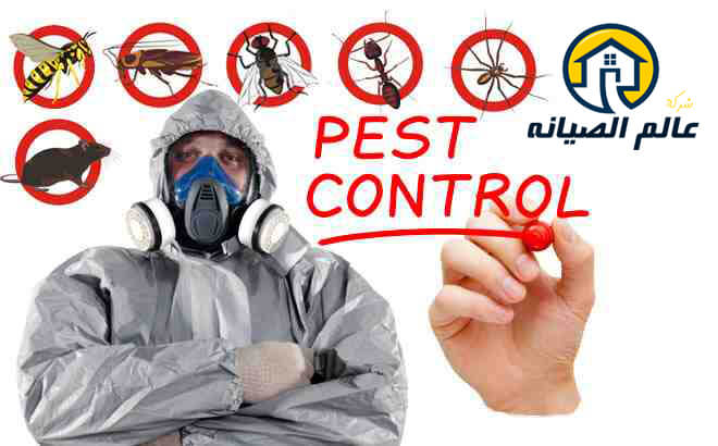 شركة مكافحة حشرات بالرياض