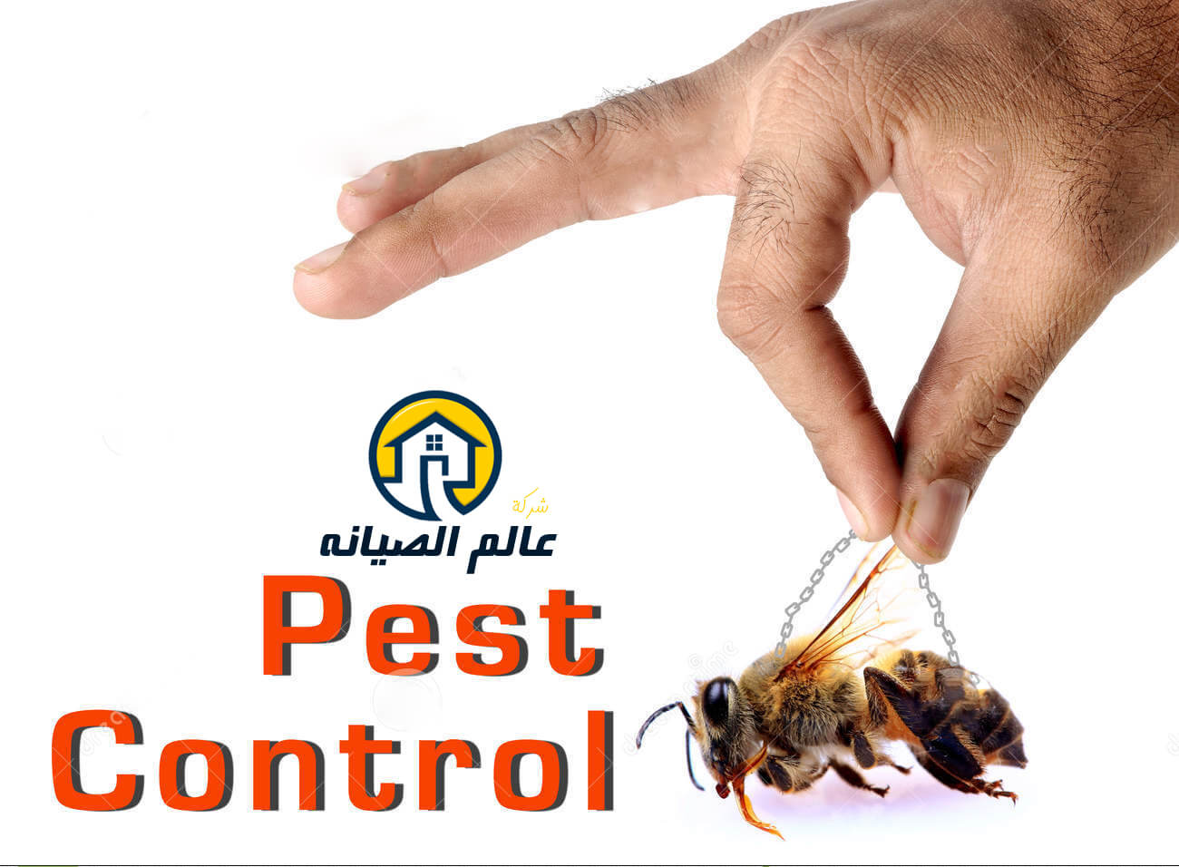شركة مكافحة حشرات بالرياض