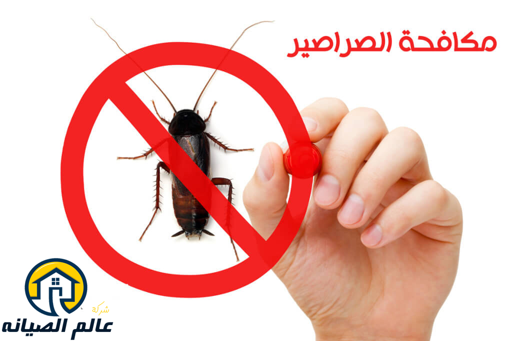 شركة مكافحة الصراصير بالرياض