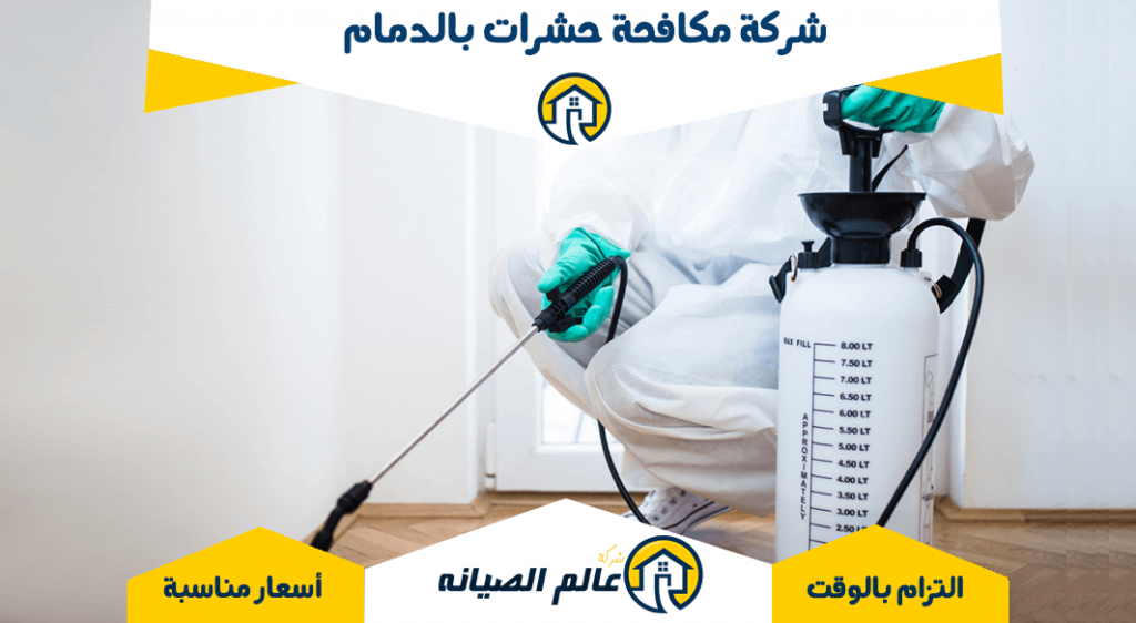 شركة مكافحة حشرات بالدمام