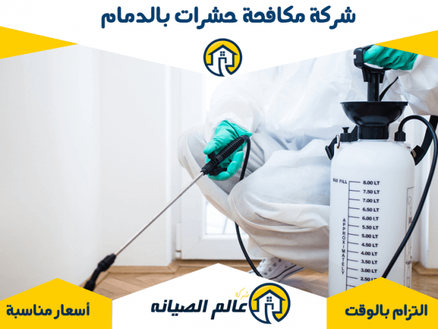 شركة مكافحة حشرات بالدمام