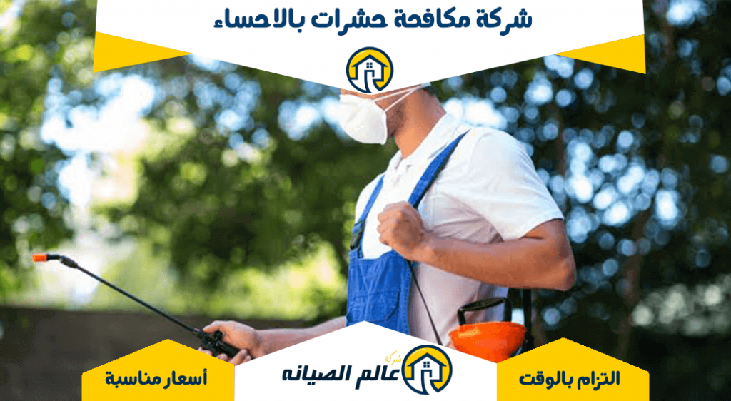 شركة مكافحة حشرات بالاحساء
