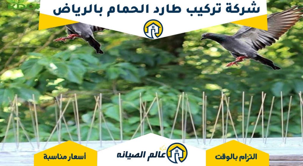 شركة تركيب طارد الحمام بالرياض