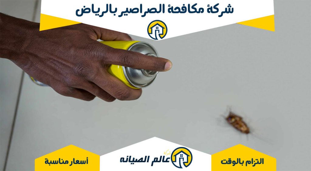 شركه مكافحة الصراصير بالرياض: كل ما تحتاج معرفته