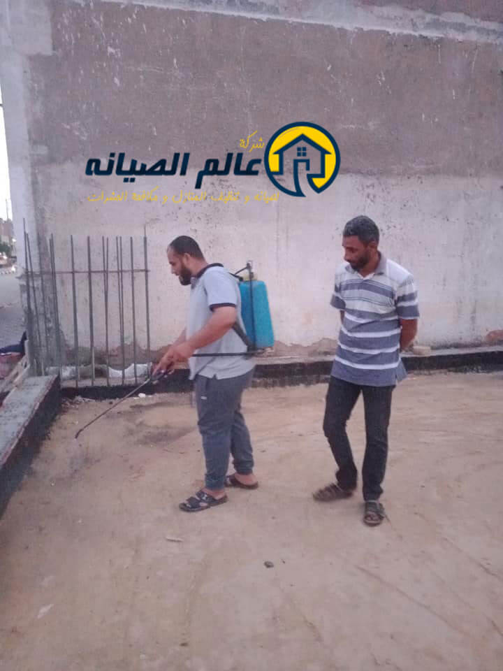 مكافحة الارضة قبل البناء