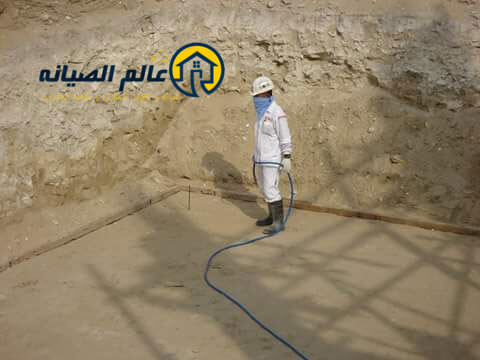 التخلص من النمل الابيض