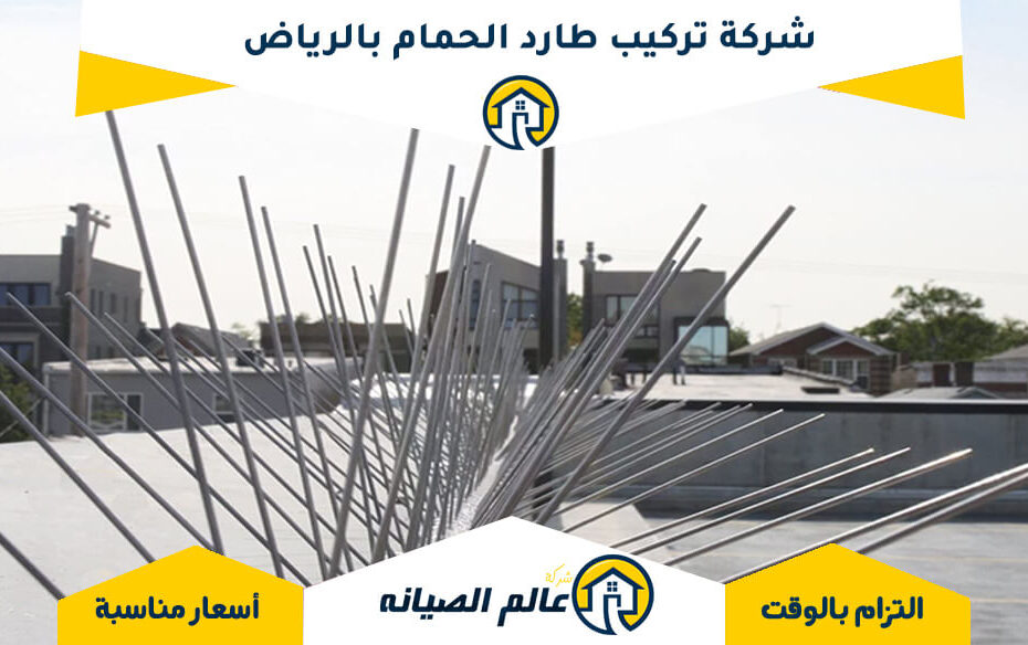 شركة تركيب طارد الحمام بالرياض
