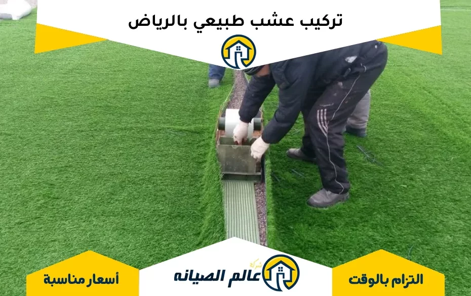 تركيب عشب طبيعي بالرياض