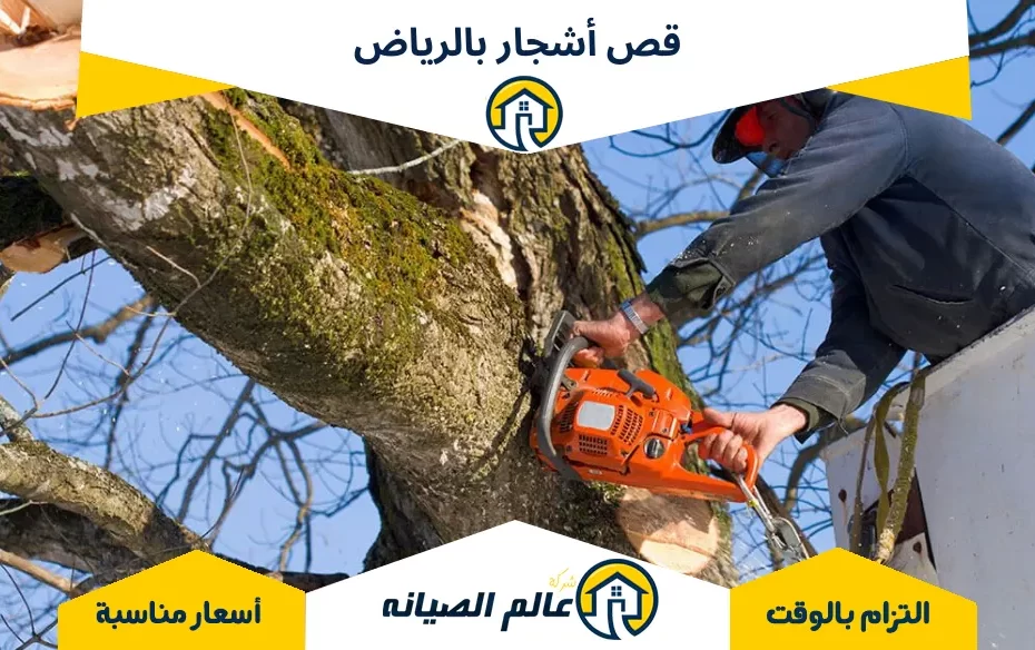 قص أشجار بالرياض